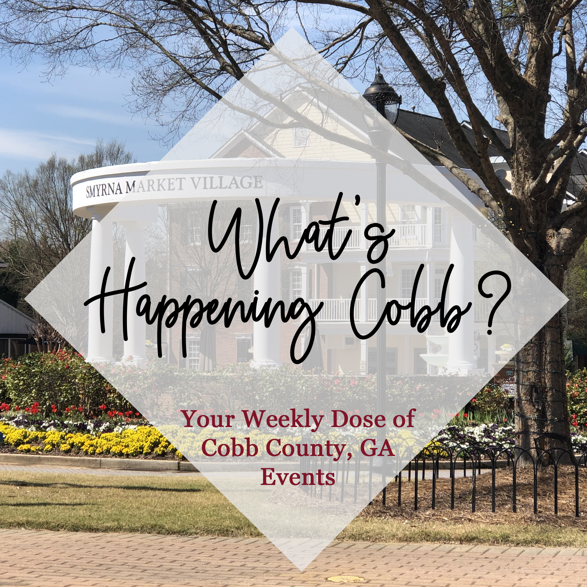 Events In October 2024 In Cobb County Nc Holly Laureen